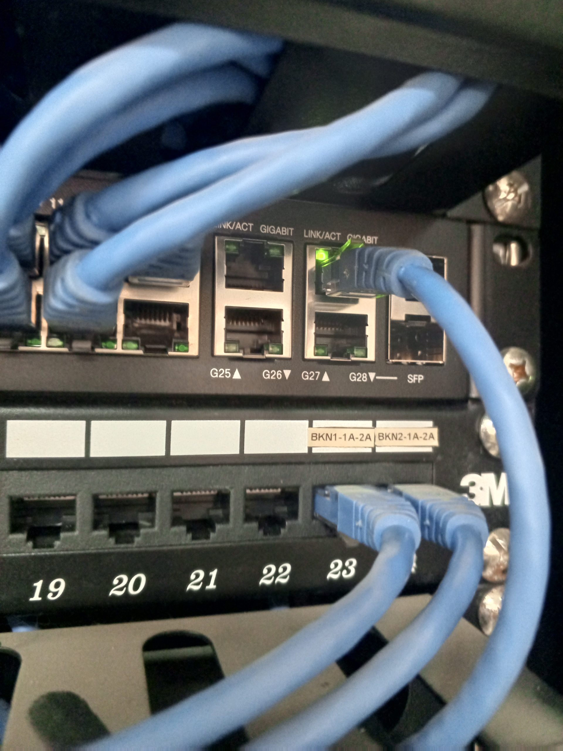 IMG_20250213_115423_938